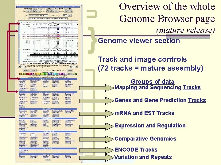 } Overview of the whole Genome Browser page (mature release) Genome viewer section Track