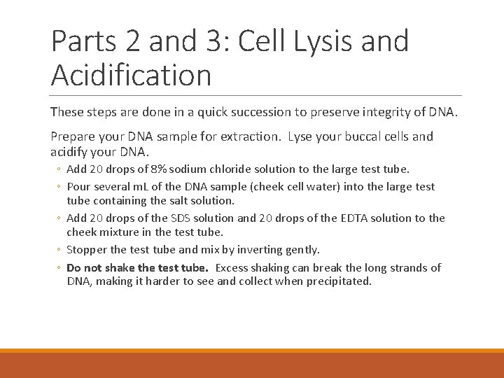 Parts 2 and 3: Cell Lysis and Acidification These steps are done in a