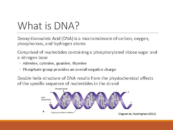 What is DNA? Deoxyribonucleic Acid (DNA) is a macromolecule of carbon, oxygen, phosphorous, and