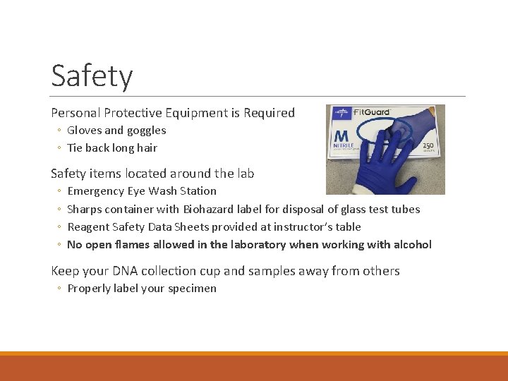 Safety Personal Protective Equipment is Required ◦ Gloves and goggles ◦ Tie back long