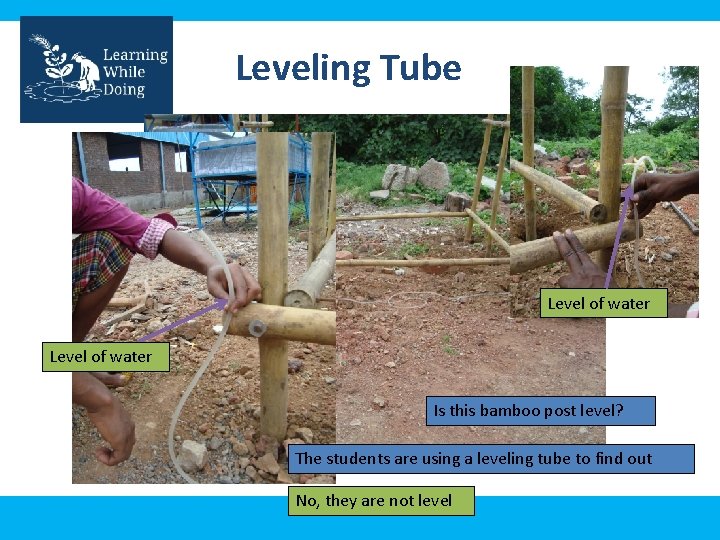 Leveling Tube Level of water Is this bamboo post level? The students are using
