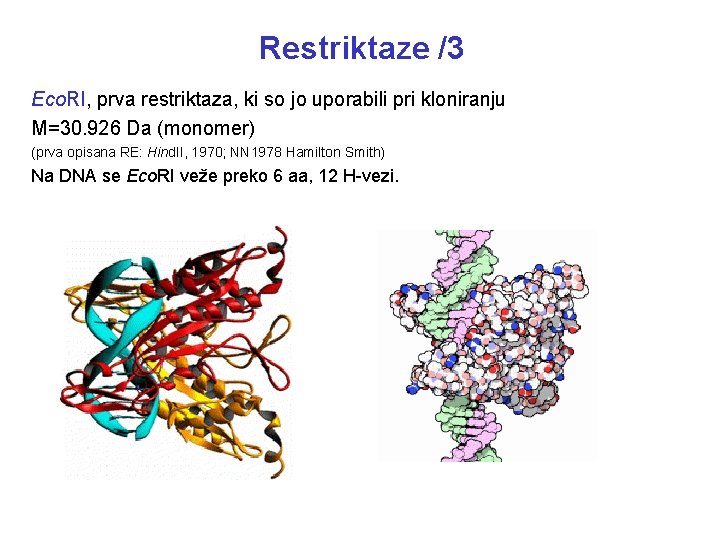 Restriktaze /3 Eco. RI, prva restriktaza, ki so jo uporabili pri kloniranju M=30. 926