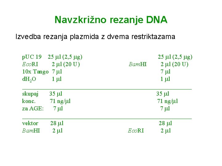 Navzkrižno rezanje DNA Izvedba rezanja plazmida z dvema restriktazama p. UC 19 25 l