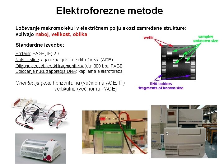 Elektroforezne metode Ločevanje makromolekul v električnem polju skozi zamrežene strukture: vplivajo naboj, velikost, oblika