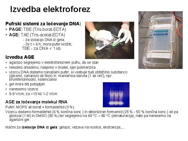 Izvedba elektroforez Pufrski sistemi za ločevanje DNA: • PAGE: TBE (Tris-borat-EDTA) • AGE: TAE