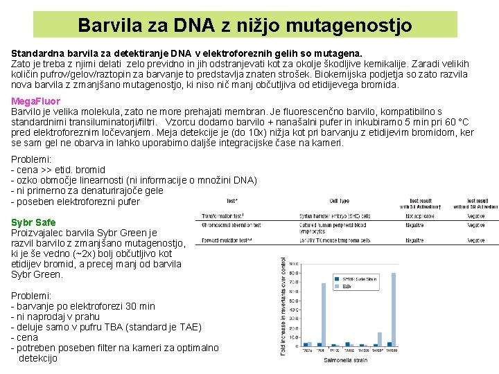 Barvila za DNA z nižjo mutagenostjo Standardna barvila za detektiranje DNA v elektroforeznih gelih