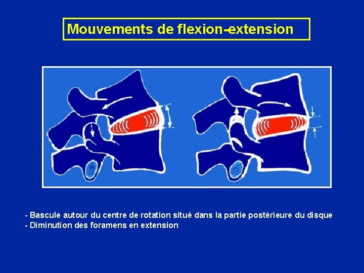 Mouvements de flexion-extension - Bascule autour du centre de rotation situé dans la partie