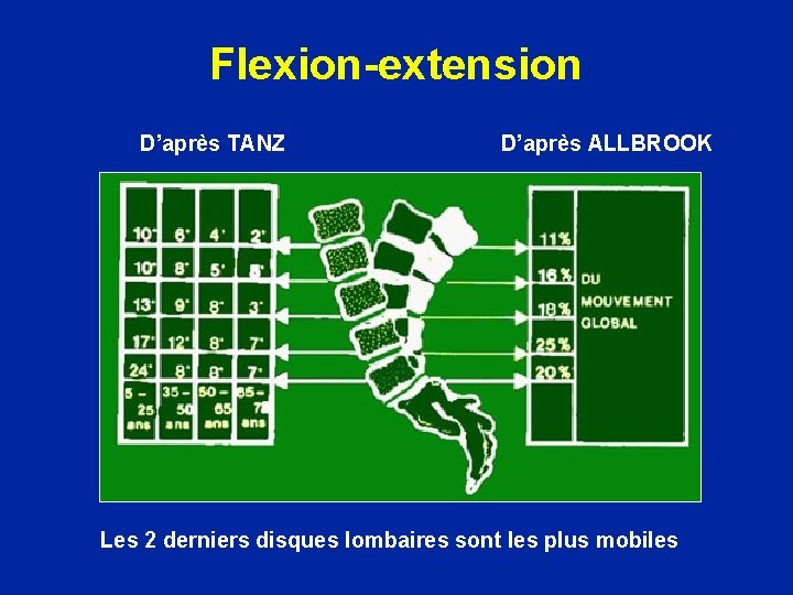 Flexion-extension D’après TANZ D’après ALLBROOK Les 2 derniers disques lombaires sont les plus mobiles