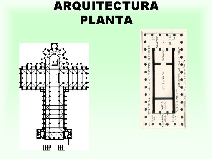 ARQUITECTURA PLANTA 