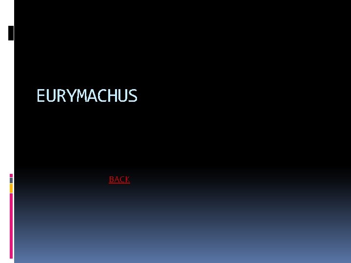 EURYMACHUS BACK 