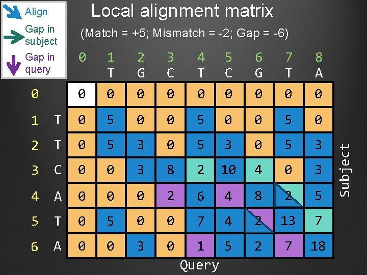 Gap in subject (Match = +5; Mismatch = -2; Gap = -6) Gap in