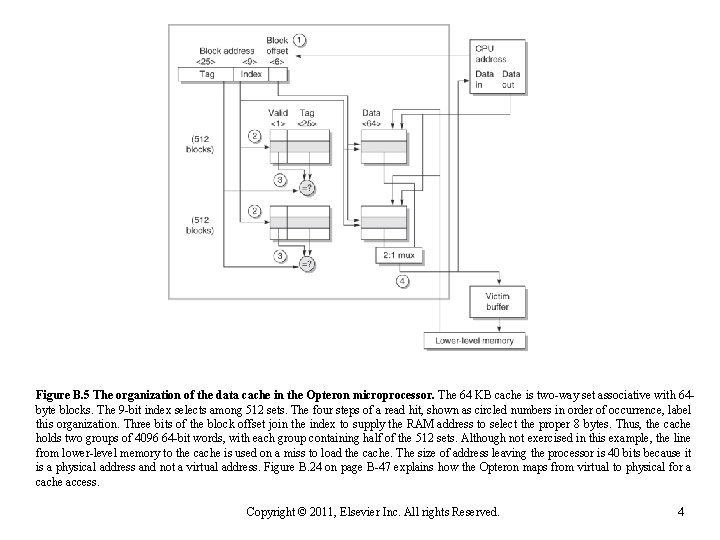 Figure B. 5 The organization of the data cache in the Opteron microprocessor. The
