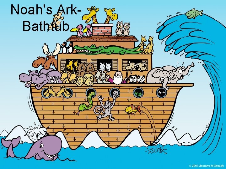Noah's Ark. Bathtub 