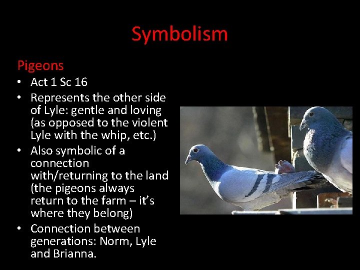 Symbolism Pigeons • Act 1 Sc 16 • Represents the other side of Lyle: