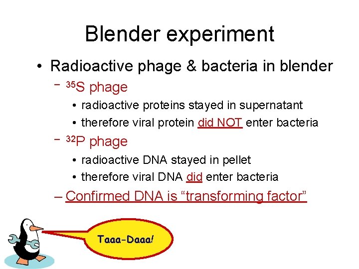 Blender experiment • Radioactive phage & bacteria in blender – 35 S phage •