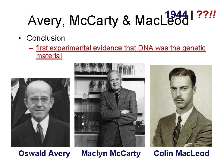 1944 | ? ? !! Avery, Mc. Carty & Mac. Leod • Conclusion –