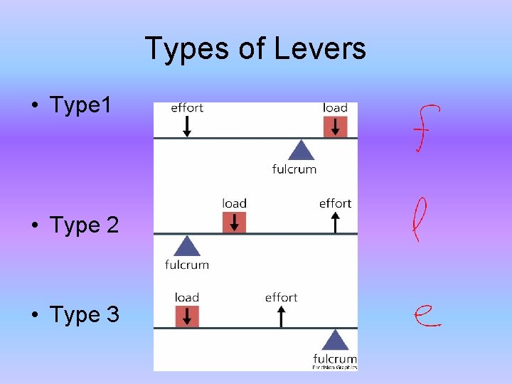 Types of Levers • Type 1 • Type 2 • Type 3 