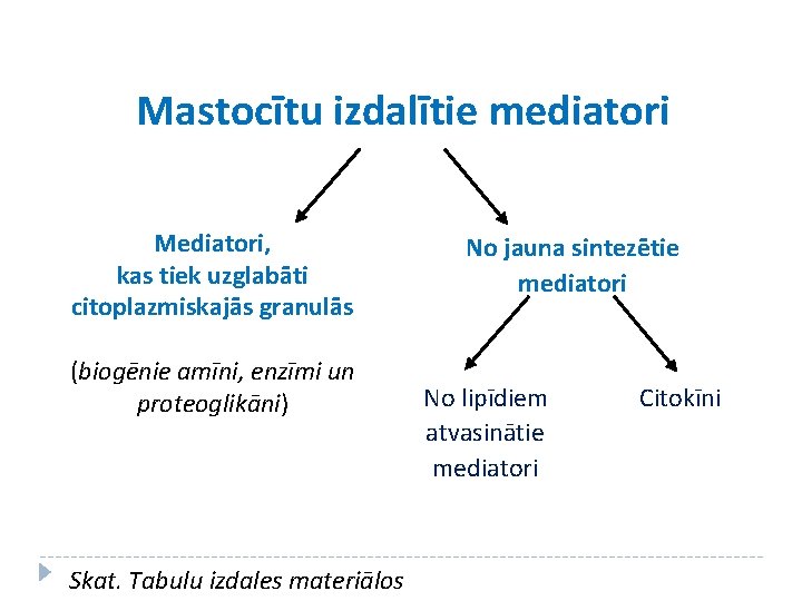 Mastocītu izdalītie mediatori Mediatori, kas tiek uzglabāti citoplazmiskajās granulās (biogēnie amīni, enzīmi un proteoglikāni)