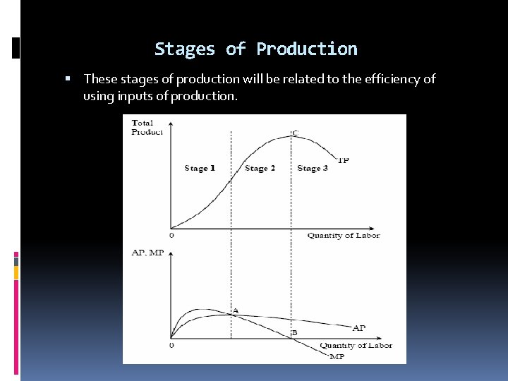 Stages of Production These stages of production will be related to the efficiency of