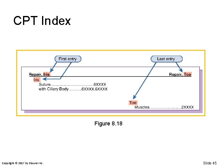 CPT Index Figure 8. 18 Copyright © 2017 by Elsevier Inc. Slide 45 