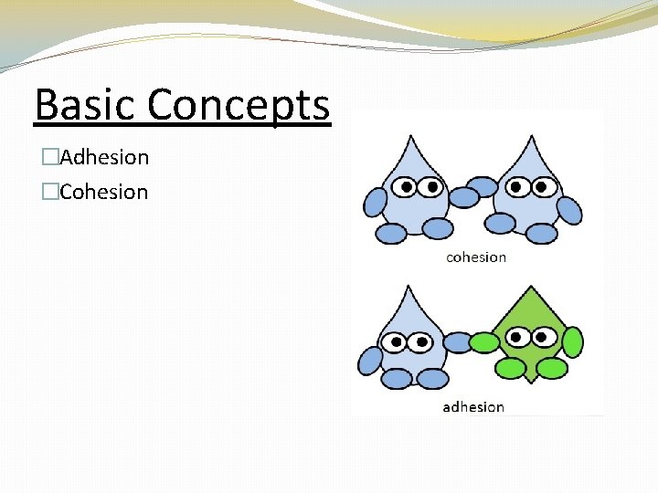 Basic Concepts �Adhesion �Cohesion 