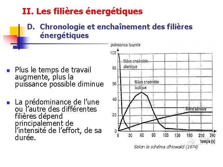 II. Les filières énergétiques D. Chronologie et enchaînement des filières énergétiques n n Plus