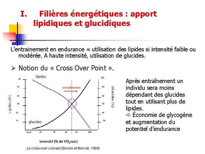 I. Filières énergétiques : apport lipidiques et glucidiques L’entrainement en endurance = utilisation des