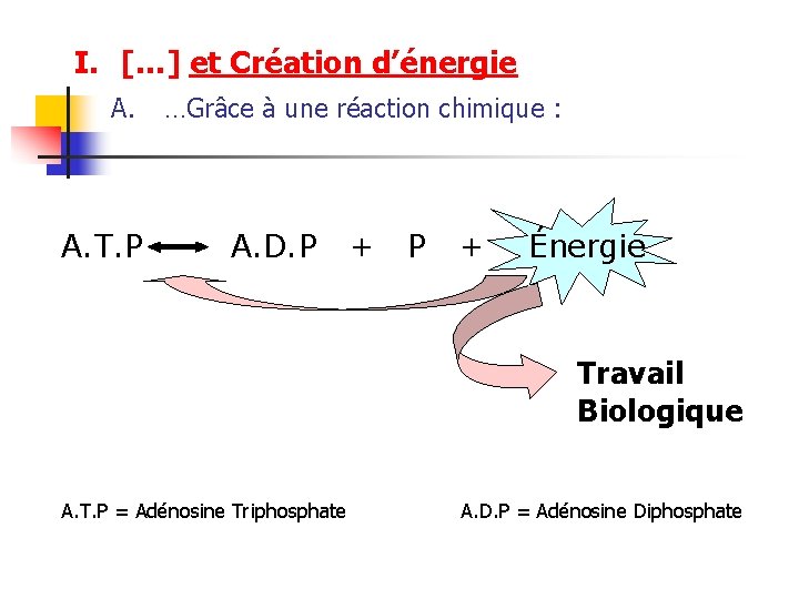 I. […] et Création d’énergie A. T. P …Grâce à une réaction chimique :