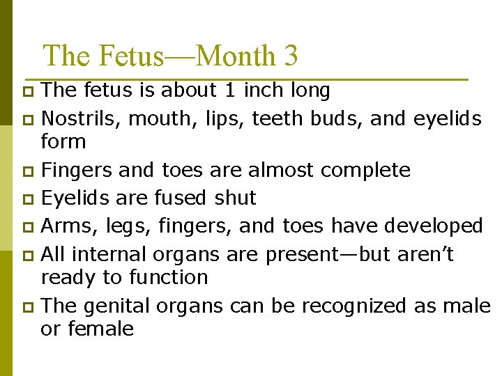 The Fetus—Month 3 The fetus is about 1 inch long p Nostrils, mouth, lips,