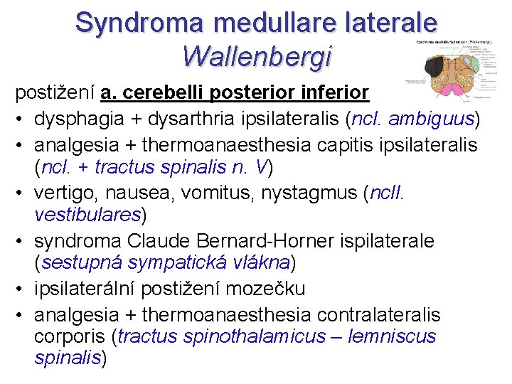 Syndroma medullare laterale Wallenbergi postižení a. cerebelli posterior inferior • dysphagia + dysarthria ipsilateralis