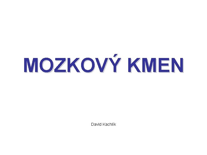 MOZKOVÝ KMEN David Kachlík 