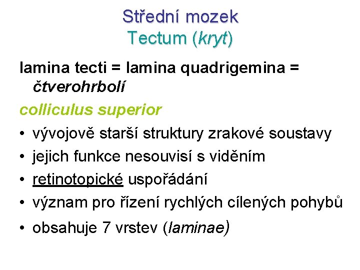 Střední mozek Tectum (kryt) lamina tecti = lamina quadrigemina = čtverohrbolí colliculus superior •