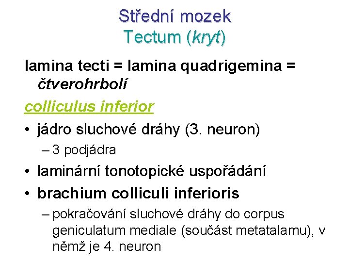 Střední mozek Tectum (kryt) lamina tecti = lamina quadrigemina = čtverohrbolí colliculus inferior •