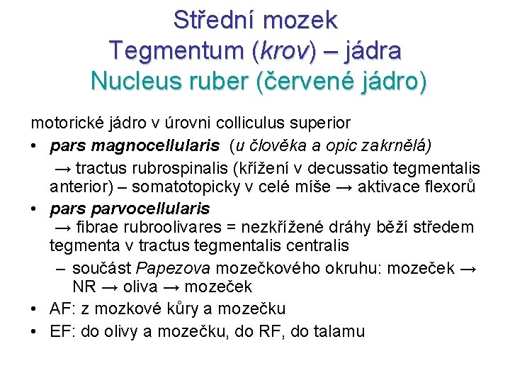 Střední mozek Tegmentum (krov) – jádra Nucleus ruber (červené jádro) motorické jádro v úrovni