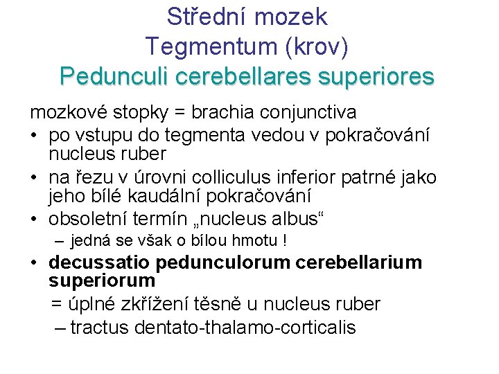 Střední mozek Tegmentum (krov) Pedunculi cerebellares superiores mozkové stopky = brachia conjunctiva • po