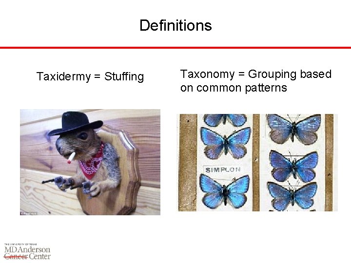 Definitions Taxidermy = Stuffing Taxonomy = Grouping based on common patterns 