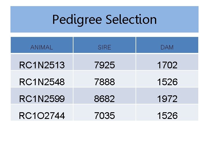 Pedigree Selection ANIMAL SIRE DAM RC 1 N 2513 7925 1702 RC 1 N
