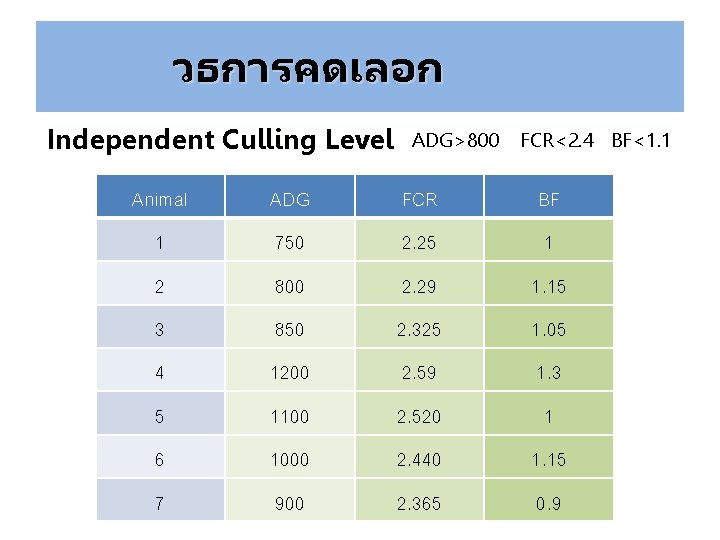 วธการคดเลอก Independent Culling Level ADG>800 FCR<2. 4 BF<1. 1 Animal ADG FCR BF 1