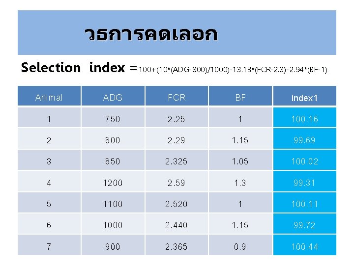 วธการคดเลอก Selection index =100+(10*(ADG-800)/1000)-13. 13*(FCR-2. 3)-2. 94*(BF-1) Animal ADG FCR BF index 1 1