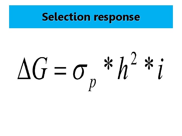 Selection response 