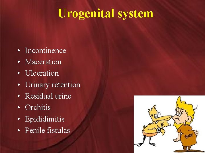 Urogenital system • • Incontinence Maceration Ulceration Urinary retention Residual urine Orchitis Epididimitis Penile