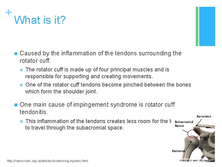 + What is it? n n Caused by the inflammation of the tendons surrounding