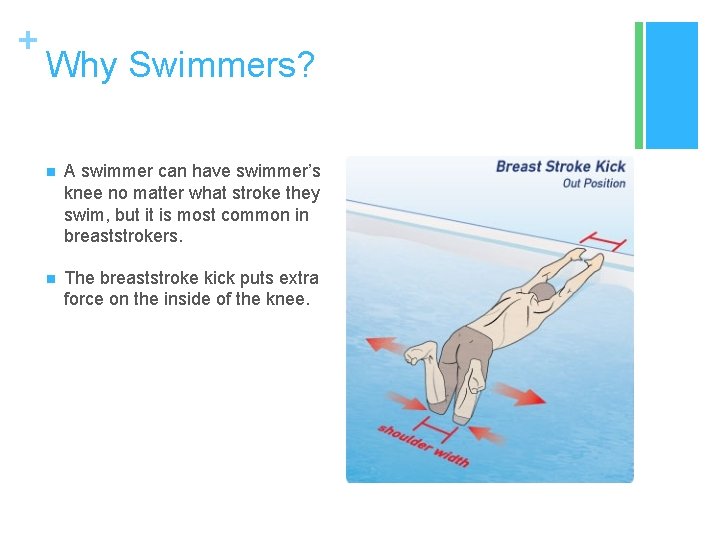 + Why Swimmers? n A swimmer can have swimmer’s knee no matter what stroke