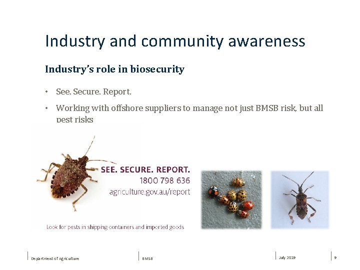Industry and community awareness Industry’s role in biosecurity • See. Secure. Report. • Working
