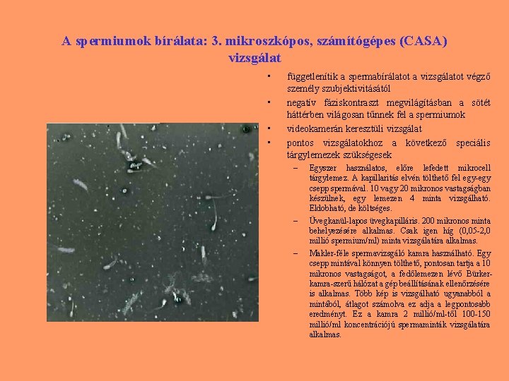 A spermiumok bírálata: 3. mikroszkópos, számítógépes (CASA) vizsgálat • • függetlenítik a spermabírálatot a