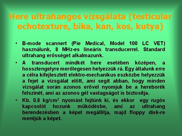 Here ultrahangos vizsgálata (testicular echotexture, bika, kan, kos, kutya) • B-mode scannert (Pie Medical,