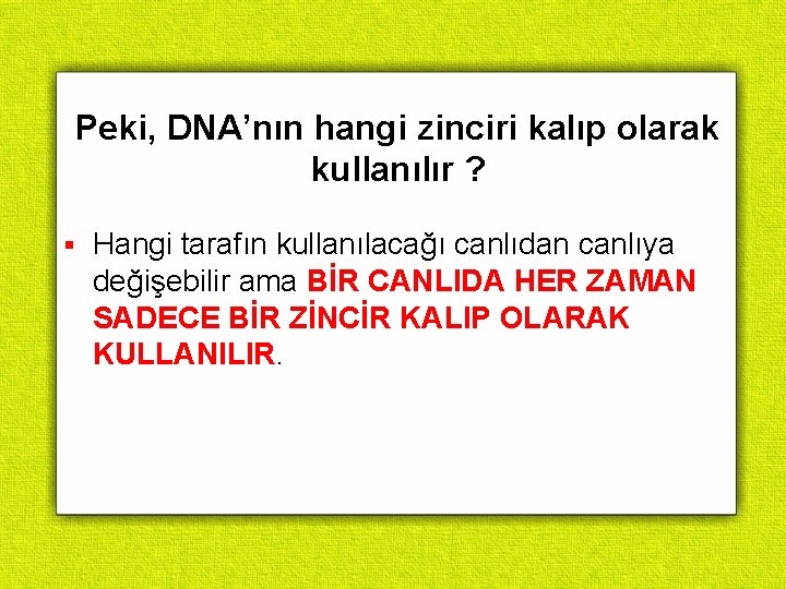 Peki, DNA’nın hangi zinciri kalıp olarak kullanılır ? § Hangi tarafın kullanılacağı canlıdan canlıya Peki, DNA’nın hangi zinciri kalıp olarak kullanılır ? § Hangi tarafın kullanılacağı canlıdan canlıya