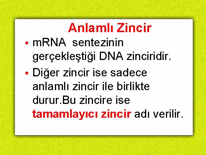 Anlamlı Zincir m. RNA sentezinin gerçekleştiği DNA zinciridir. § Diğer zincir ise sadece anlamlı