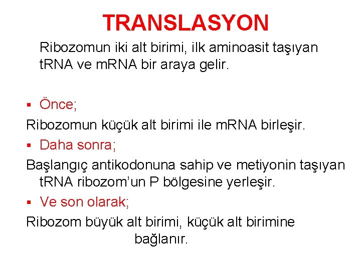 TRANSLASYON Ribozomun iki alt birimi, ilk aminoasit taşıyan t. RNA ve m. RNA bir