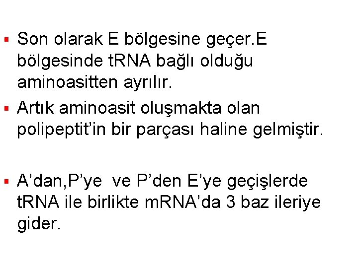 Son olarak E bölgesine geçer. E bölgesinde t. RNA bağlı olduğu aminoasitten ayrılır. § Son olarak E bölgesine geçer. E bölgesinde t. RNA bağlı olduğu aminoasitten ayrılır. §